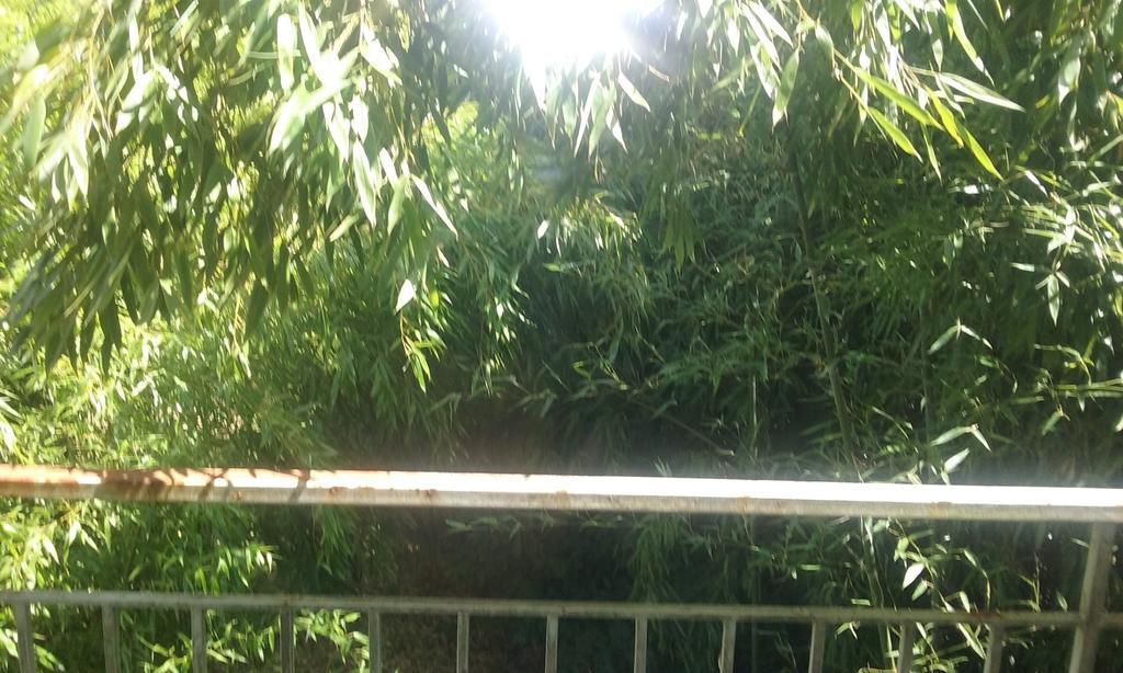 Bed and Breakfast Le Moulin Du Modon Proche Du Zooparc De Beauval Couffy Exterior foto